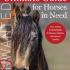 The Ultimate Guide for Horses in Need by Stacie Boswell, DVM, DACVS